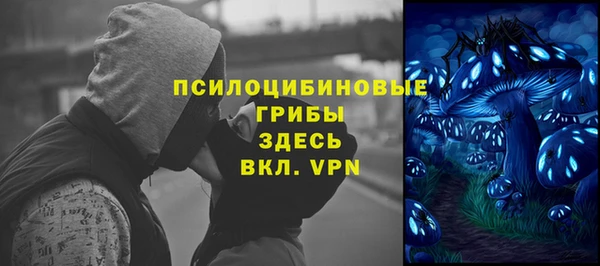 ПСИЛОЦИБИНОВЫЕ ГРИБЫ Белоозёрский
