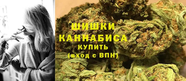 PSILOCYBIN Сатка