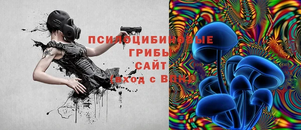 ПСИЛОЦИБИНОВЫЕ ГРИБЫ Белоозёрский