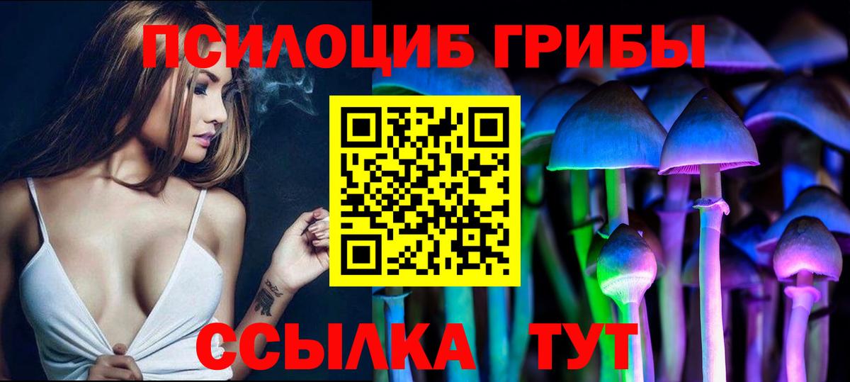 Псилоцибиновые грибы Psilocybe Богданович