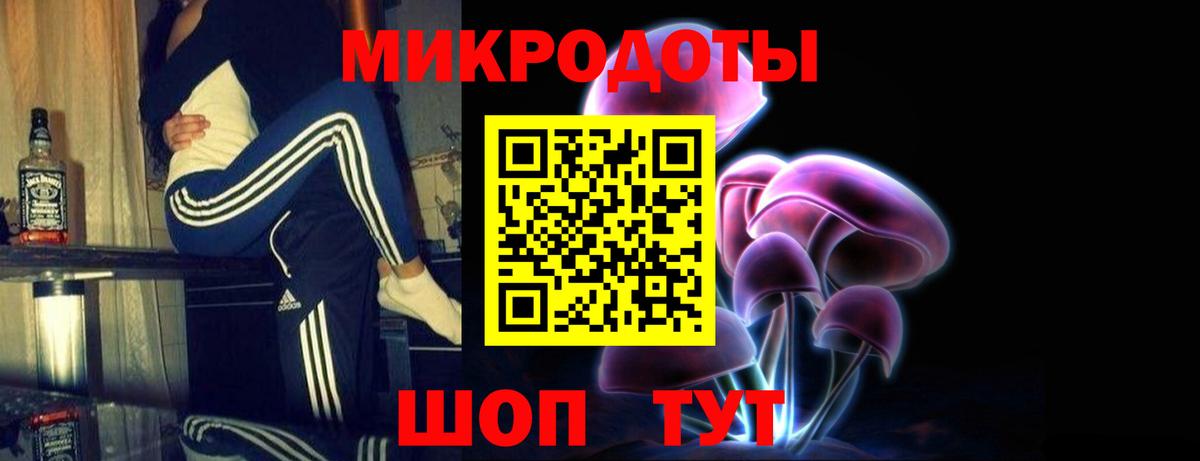 Галлюциногенные грибы Psilocybine cubensis  Вход с VPN  Богданович 